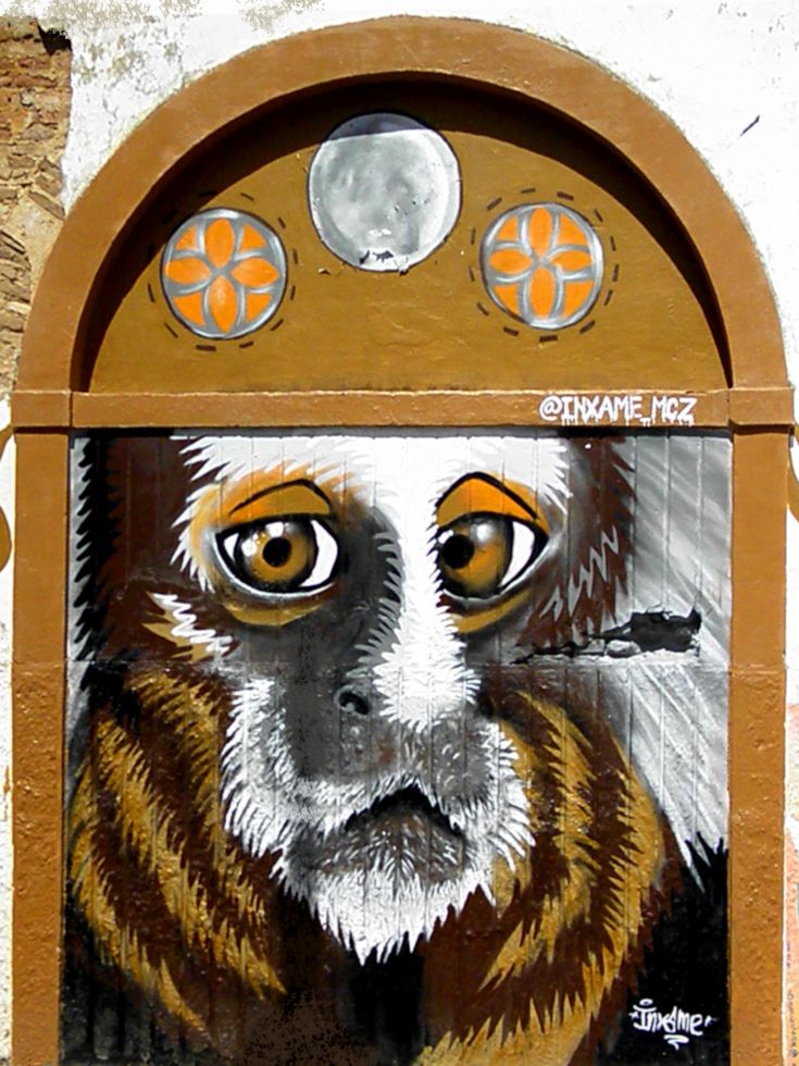 Portas & Janelas